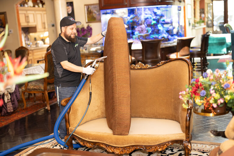 Upholstery Cleaning in Laguna Niguel, CA